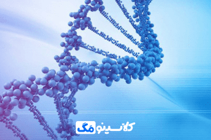 تنظیم-رونویسی-در-پروکاریوت_ها